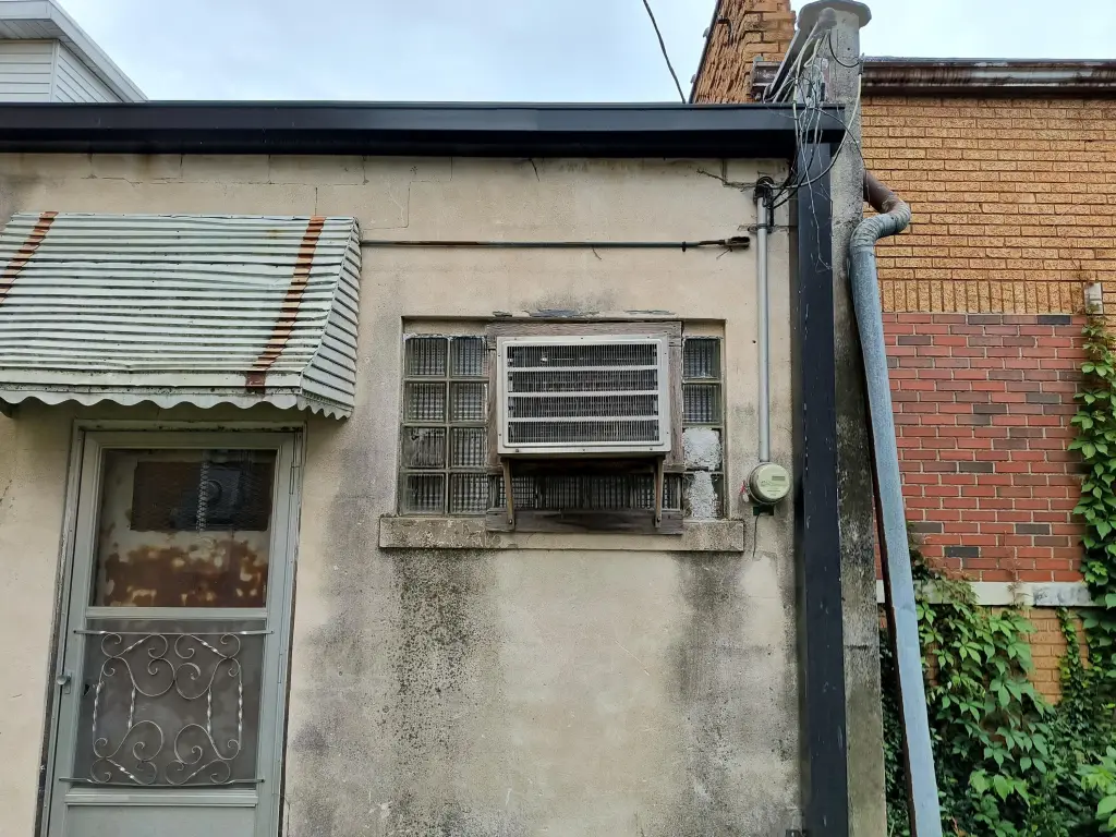 Picture 21