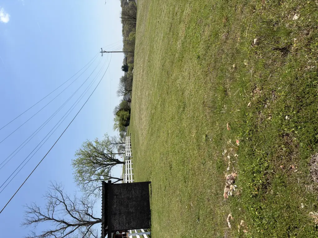 Picture 13