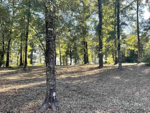 Waterfront Lot in Mobile, AL