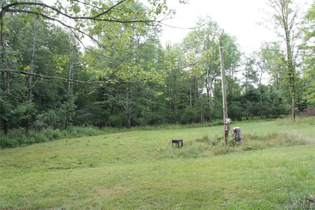 Picture 9