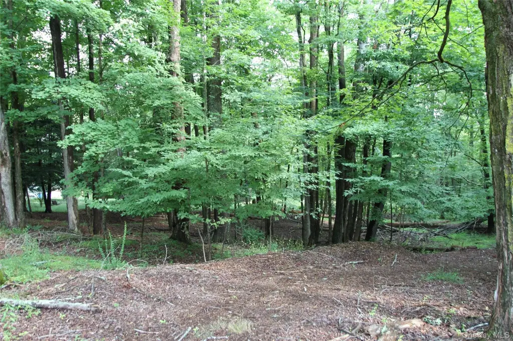 Picture 13
