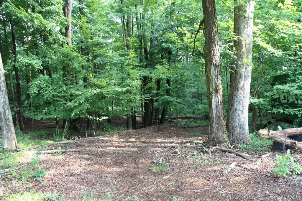 Picture 7