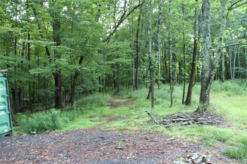 Picture 8