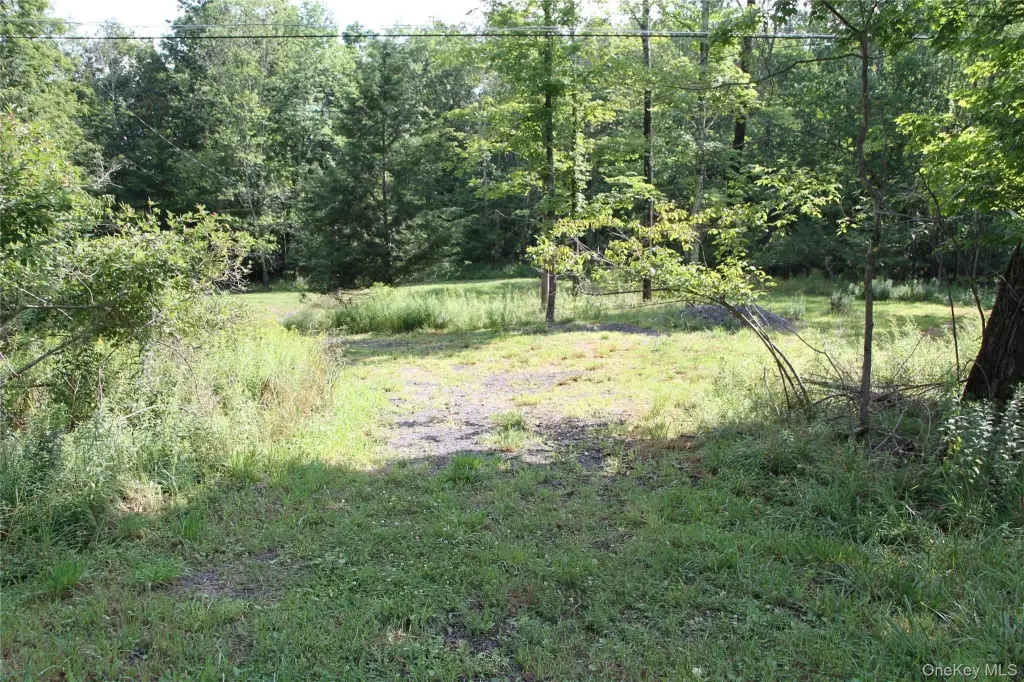 Picture 19