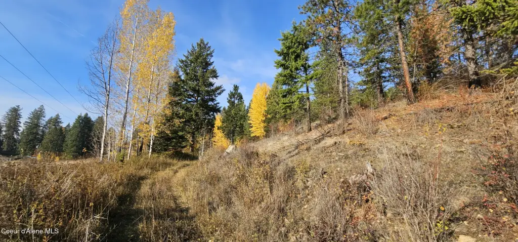 Picture 31
