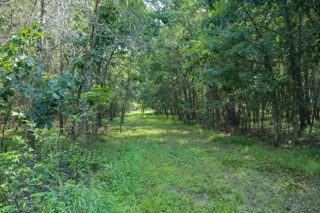Picture 15