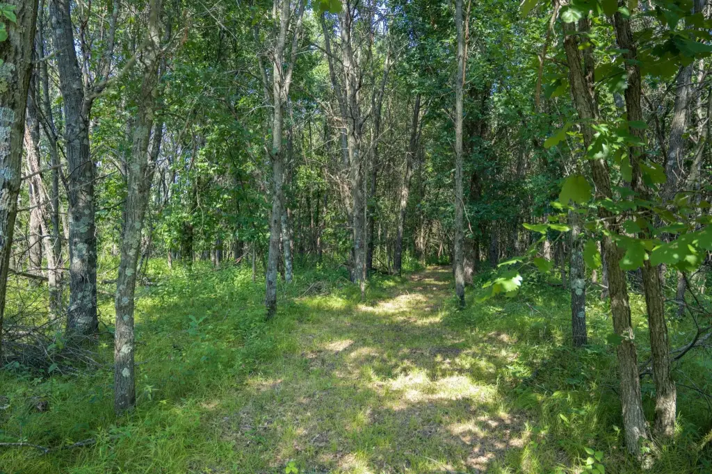 Picture 6