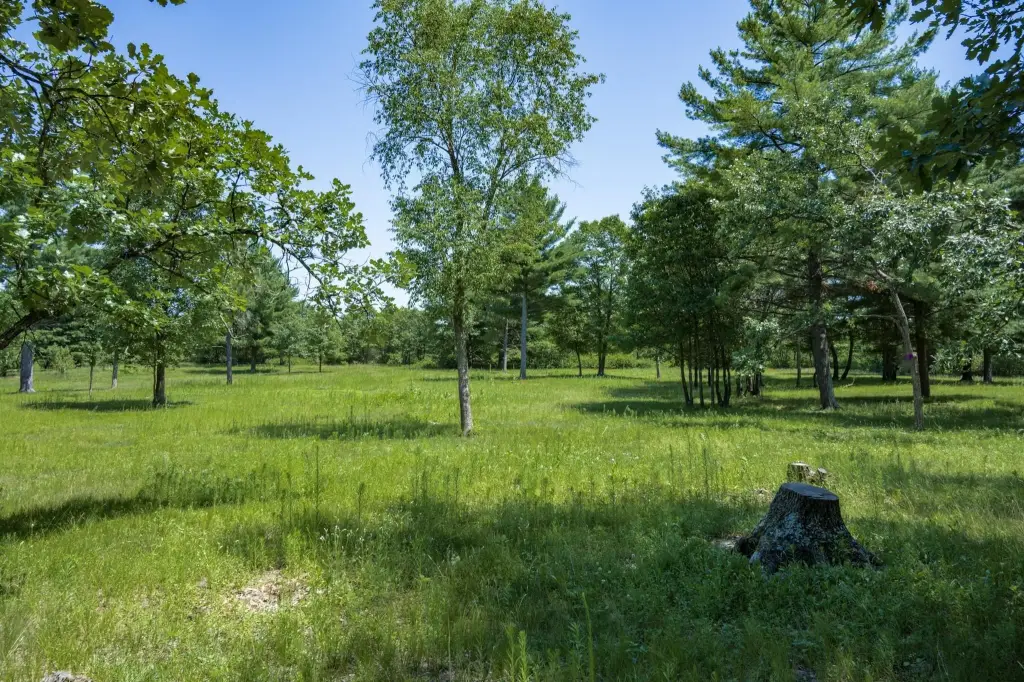 Picture 31