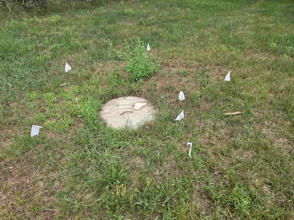 Picture 12