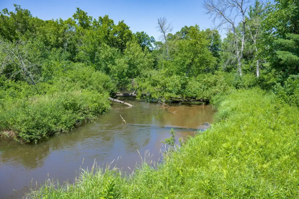 Picture 46