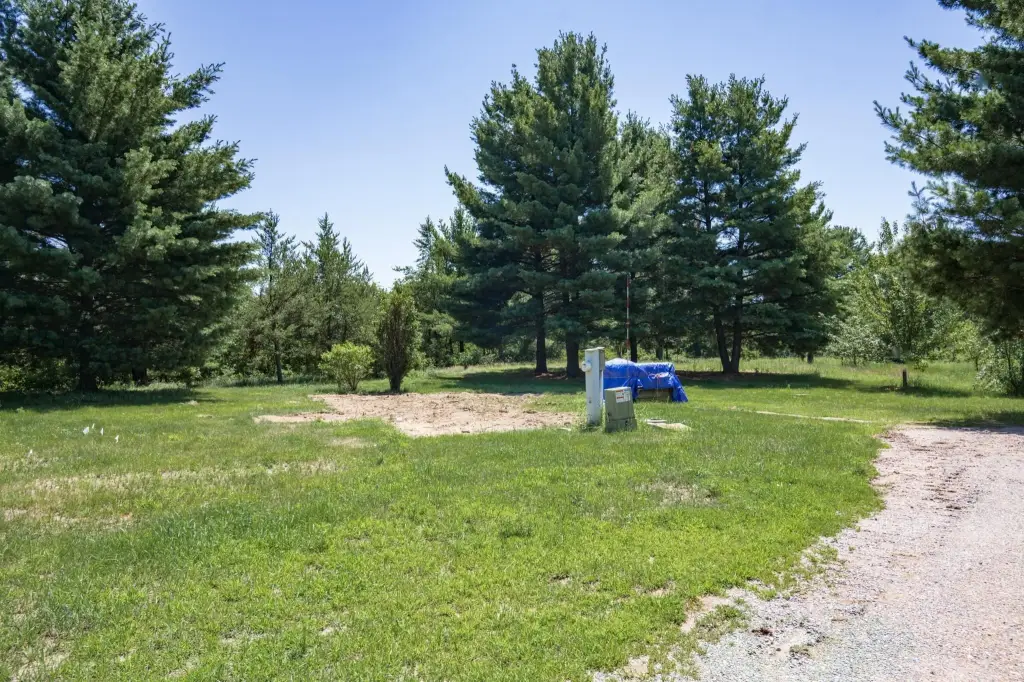 Picture 43