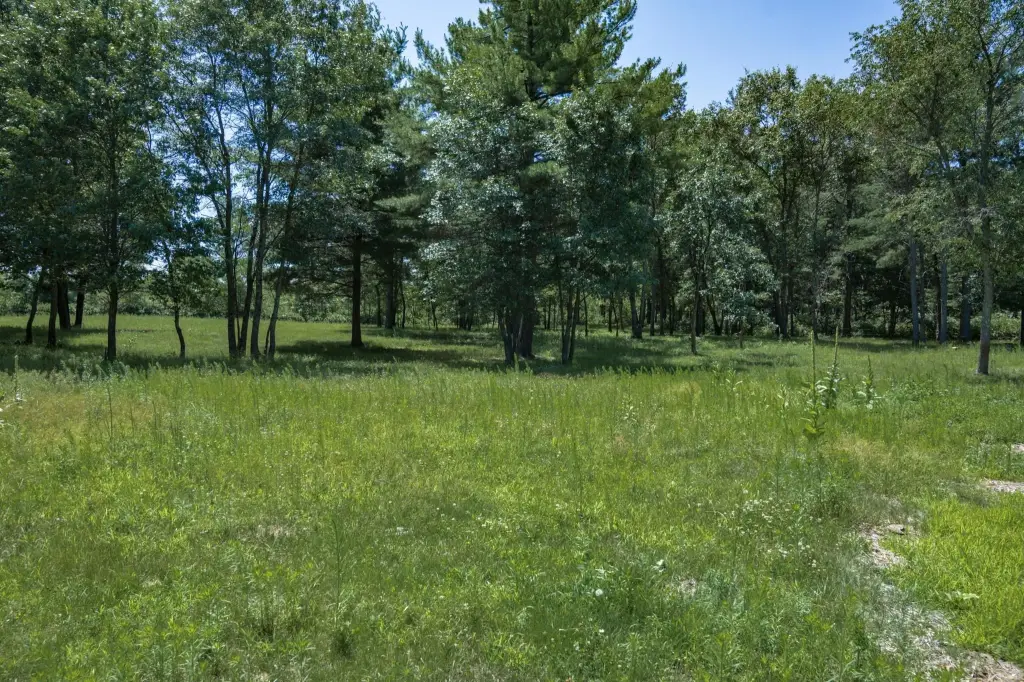 Picture 39
