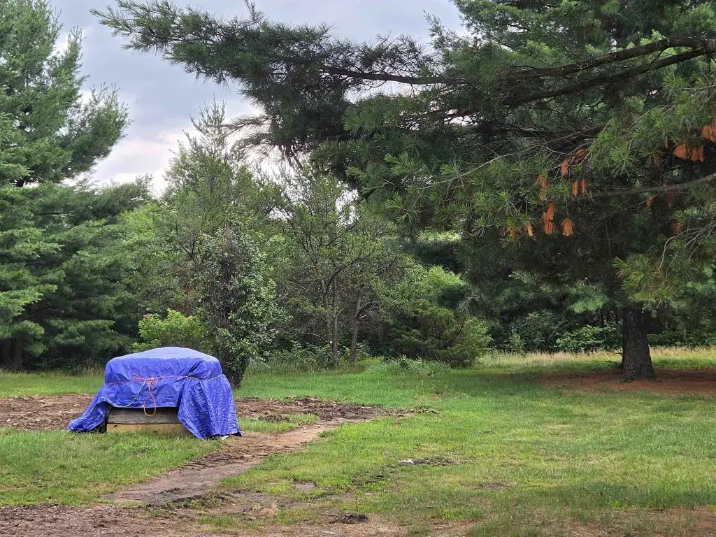 Picture 15