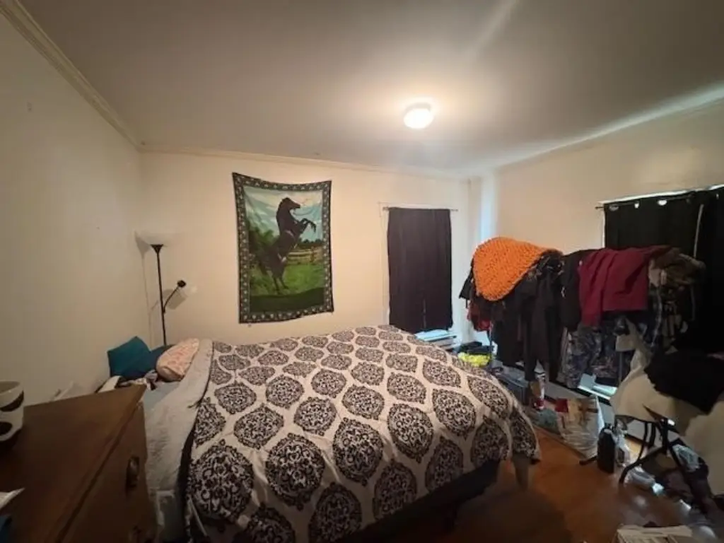 Picture 5