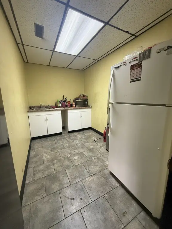 Picture 8