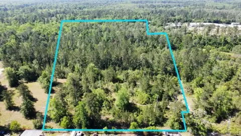 Wewahitchka Land with Development Potential