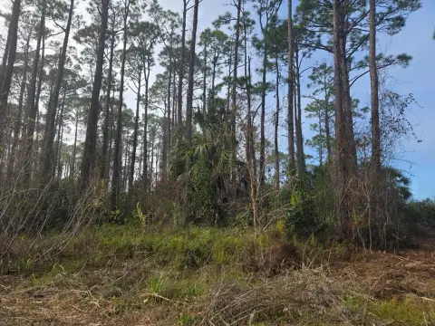Bay-Front Homesite on Cape San Blas