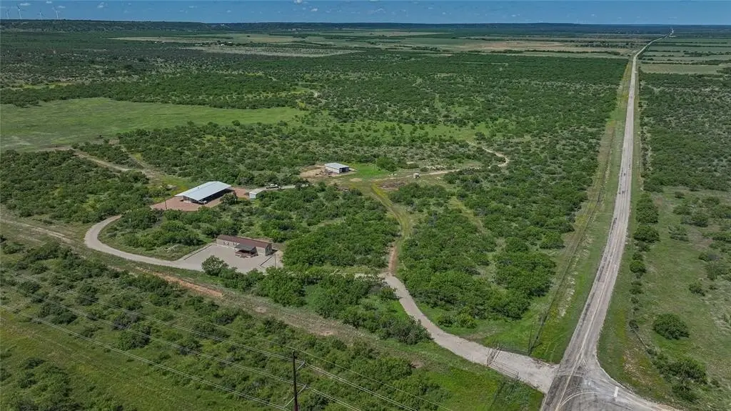 Picture 20