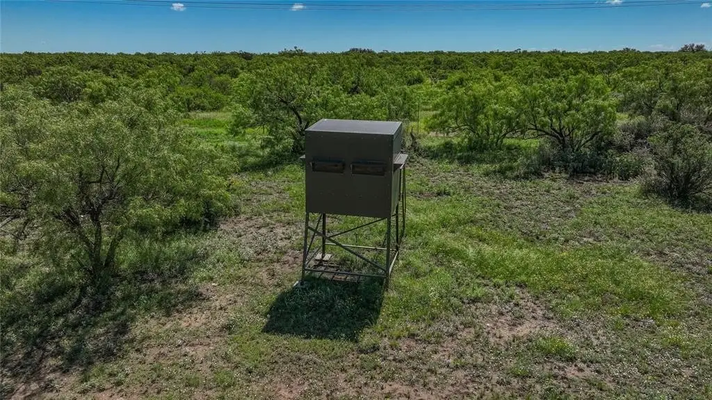 Picture 23