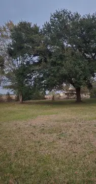 Waterfront Lot in Bay St. Louis