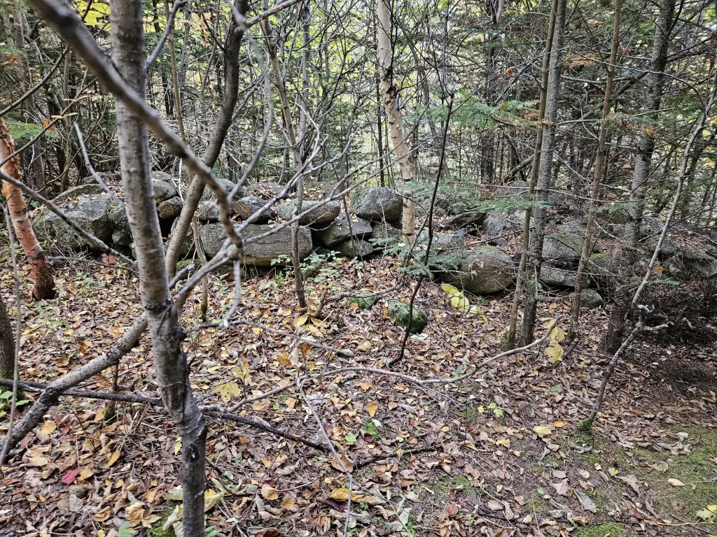 Picture 47