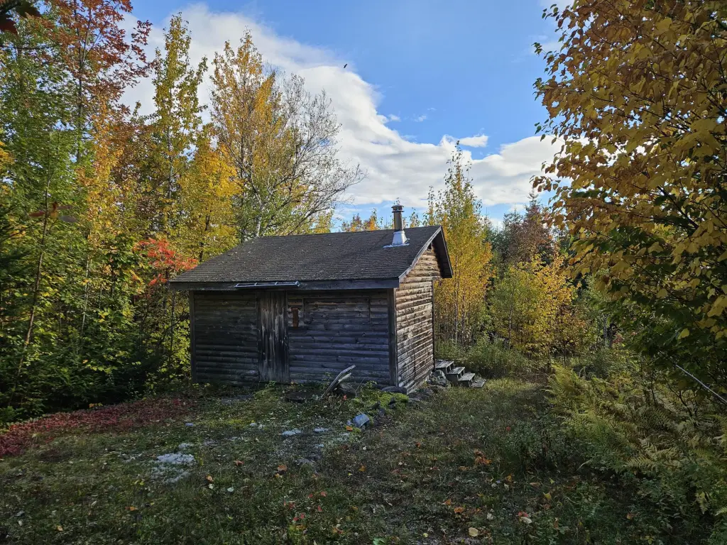 Picture 12