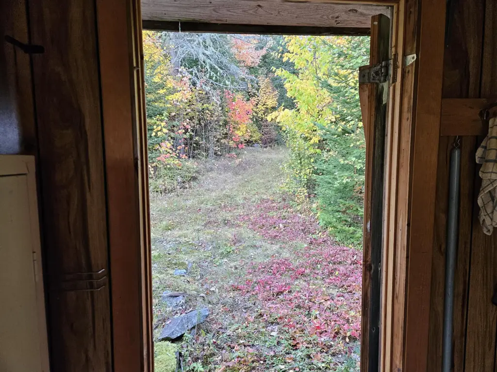 Picture 23