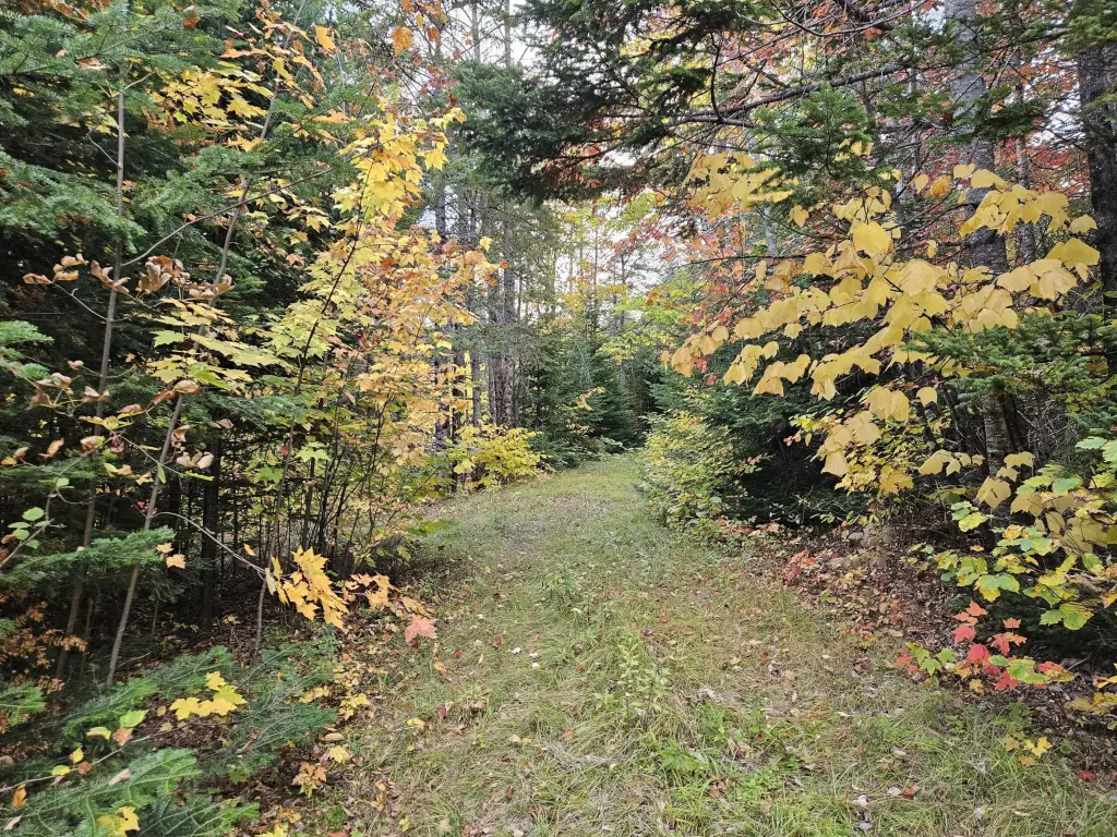 Picture 40