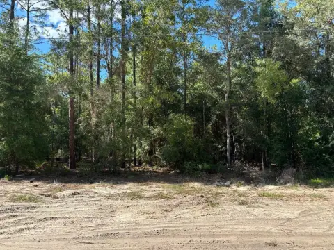 Undeveloped Farmland Parcel