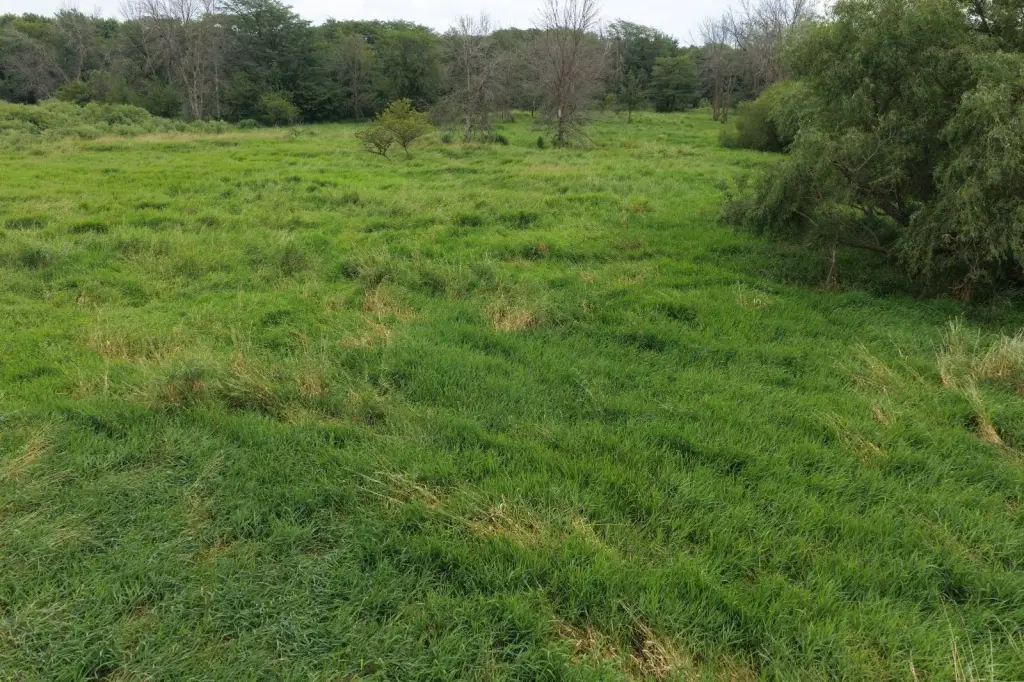 Picture 39