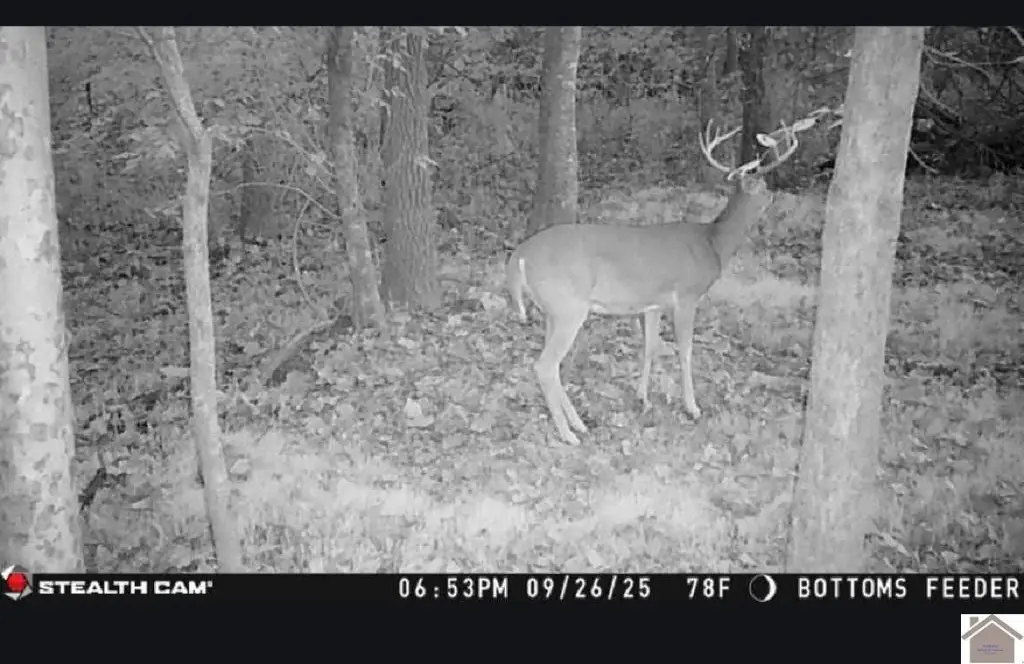 Picture 2