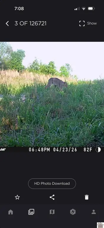 Picture 5