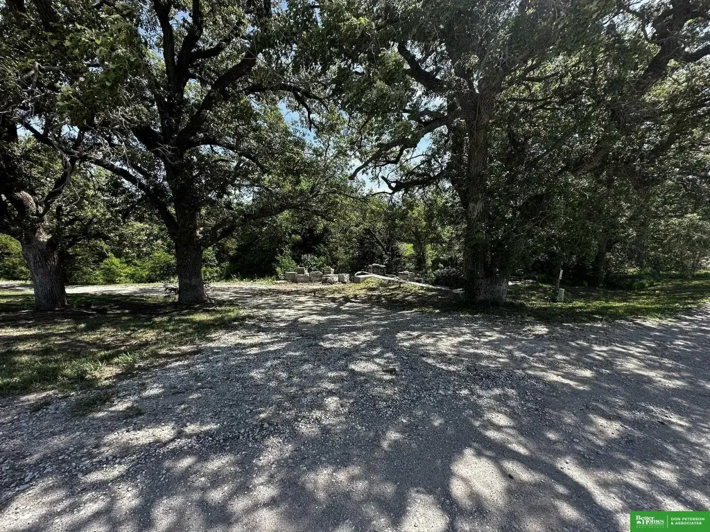 Picture 7
