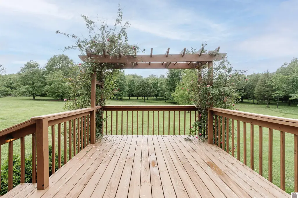 Picture 44
