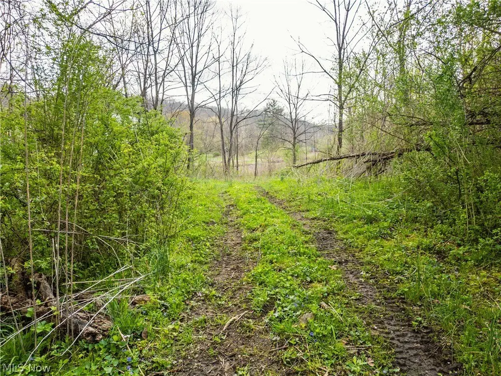 Picture 8