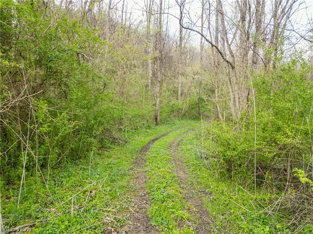 Picture 11