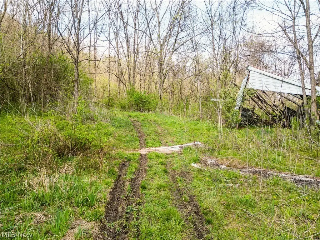 Picture 6