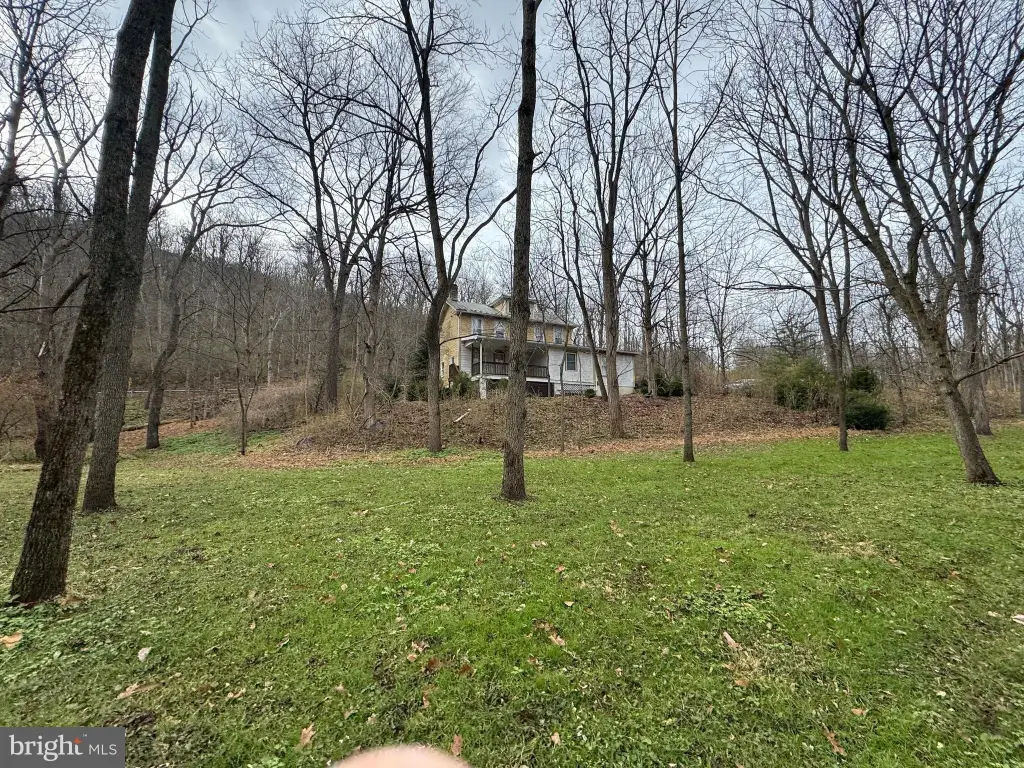 Picture 42