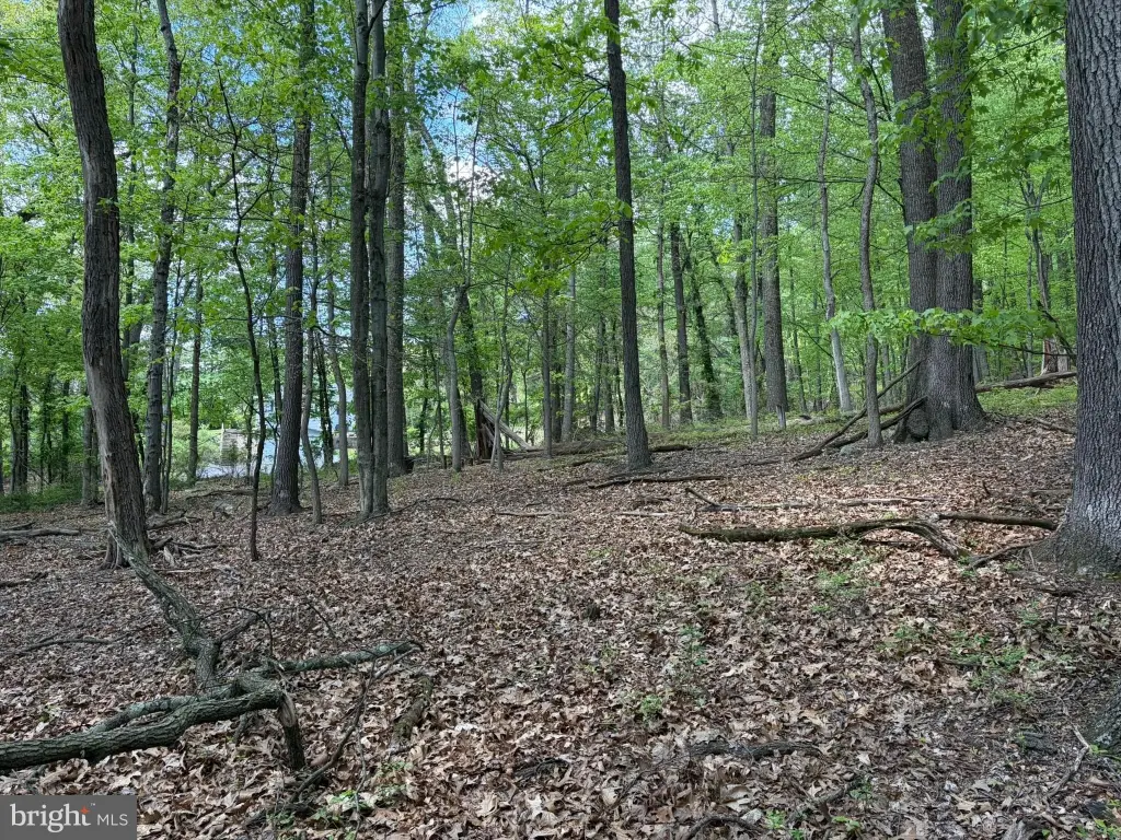 Picture 17