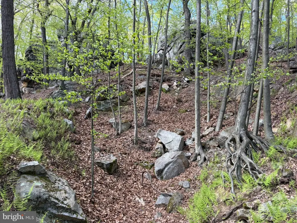 Picture 25