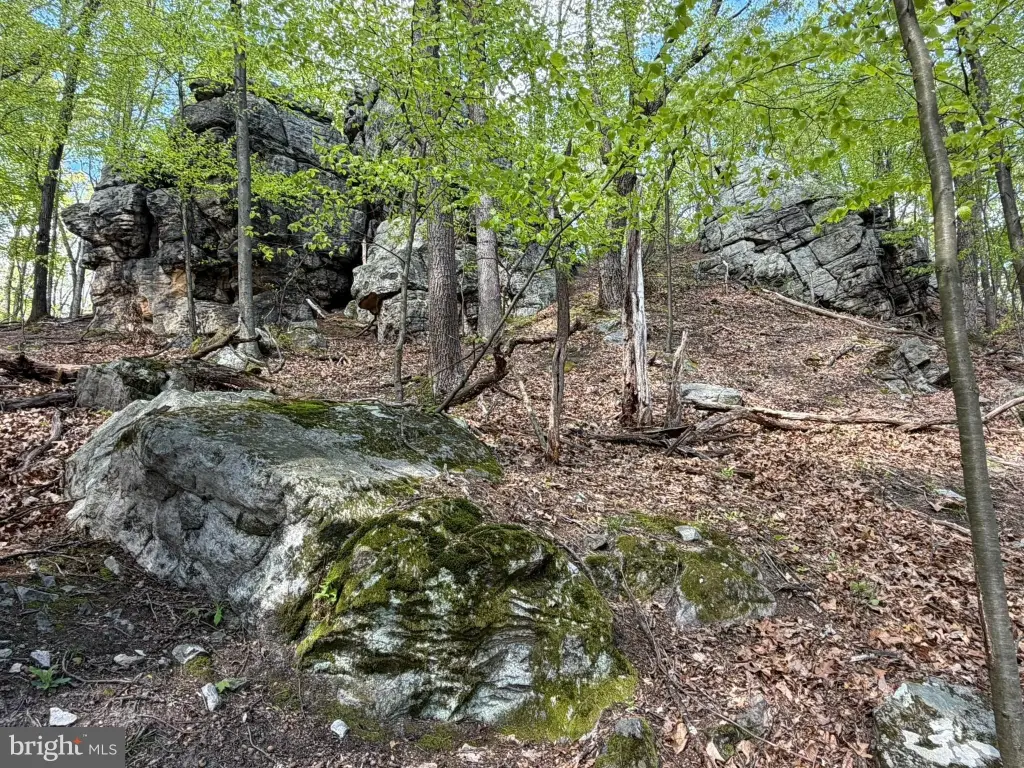 Picture 26