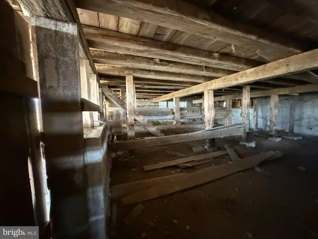 Picture 25