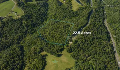 Hunting Land with Road Frontage