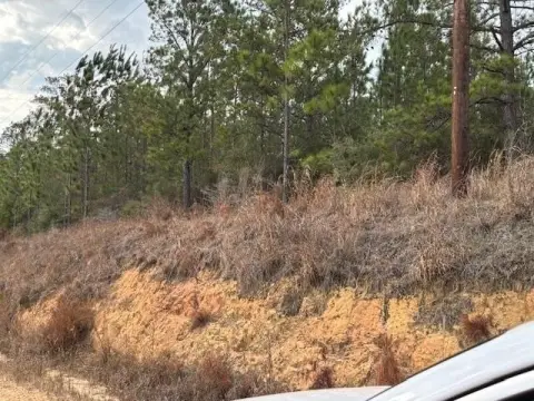 Andalusia, AL Undeveloped Land