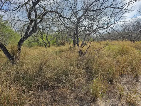 South Texas Land Near Lake