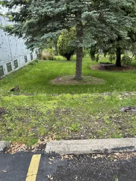 Commercial Land in Willow Springs