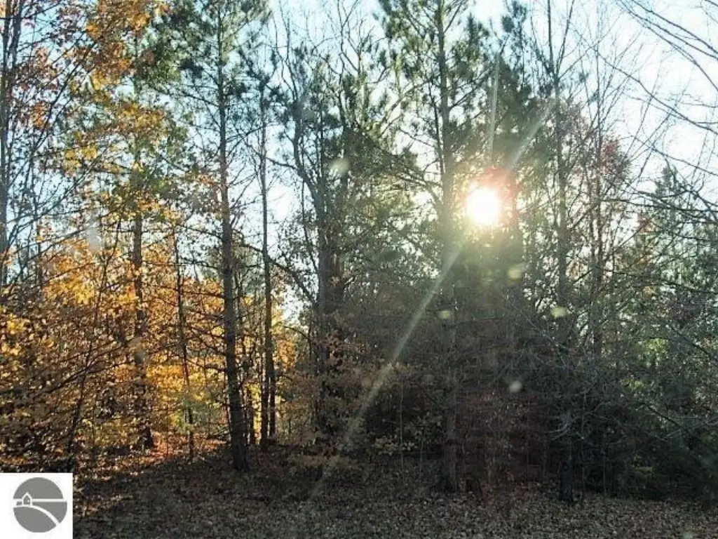 Picture 18