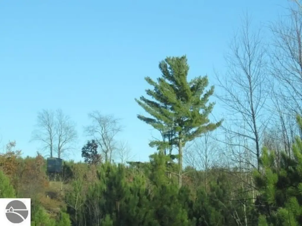 Picture 25