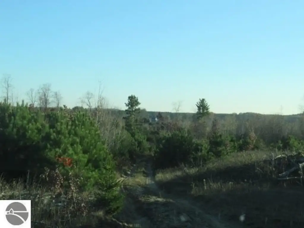 Picture 22