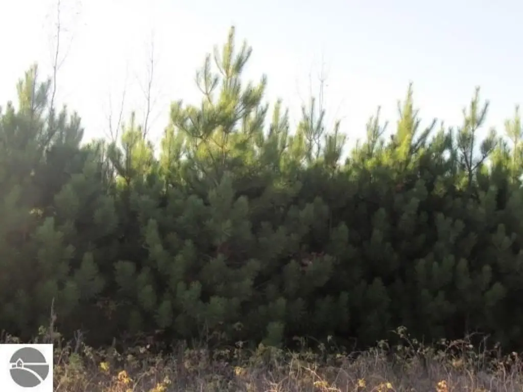 Picture 21